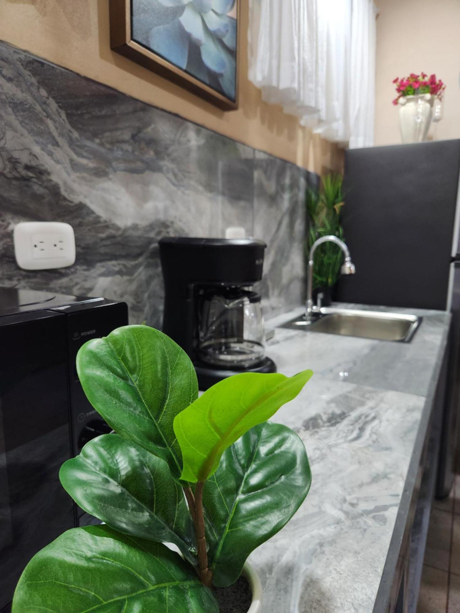 Arenal Memories. Apartment La Fortuna Екстериор снимка